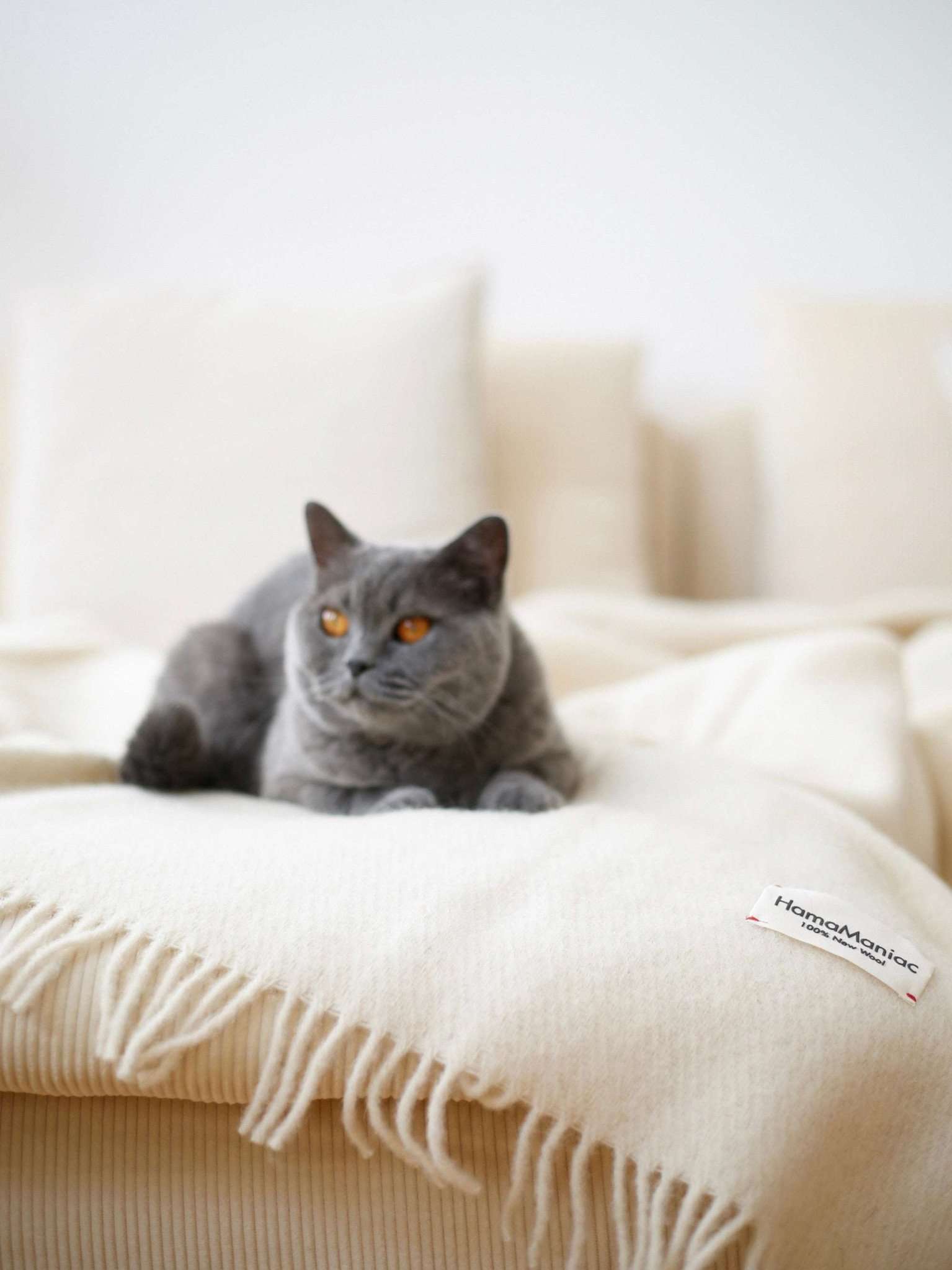 Wolldecke Couchdecke Wohnzimmer Natur creme